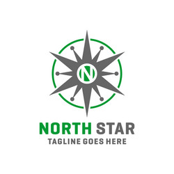 modern north star logo vector image