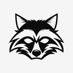 raccoon head face logo vector image