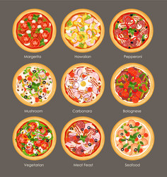 set of different pizza top vector image