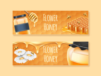 flower honey bee hive food horizontal banners vector image