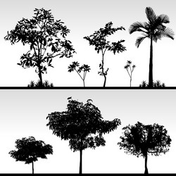 tree grass silhouette a set of isolated vector image