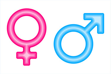 male and female gender symbols vector image