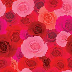 Rose wallpaper pattern vector