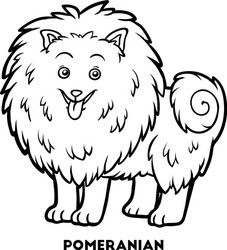 coloring book dog breeds pomeranian vector image