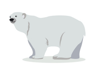 polar bear cartoon flat vector image