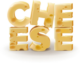 word cheese written with on white vector image