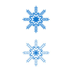 christmas snowflakes design winter snow icon vector image