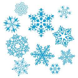 Snowflakes vector