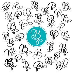 set of hand drawn calligraphy letter b vector image