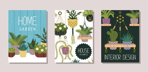 houseplants shop flat banner templates set vector image