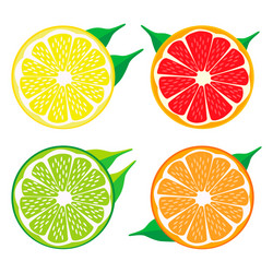 Fruits vector