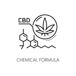 cannabis marijuana cbd chemical formula line icon vector image