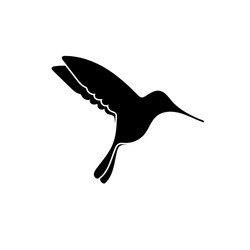 bird silhouette isolated vector image