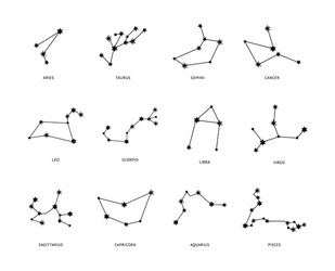 twelve zodiac constellations vector image