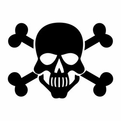 black skull icon vector image