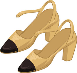 classic shoes on heels for women fashion and style vector image