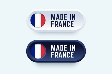 made in france sign two color styles vector image