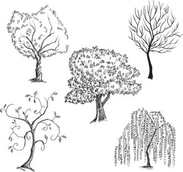 trees collection vector image