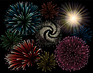 holiday firework vector image