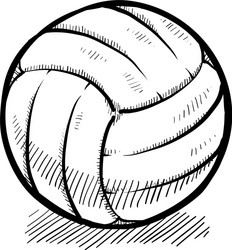 doodle volleyball vector image