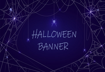 halloween banner with spider web template vector image