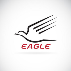 eagle design on white background bird animals vector image