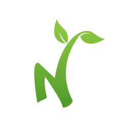 initial letter n natural leaf environment logo vector image