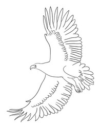 eagle line art 01 vector image