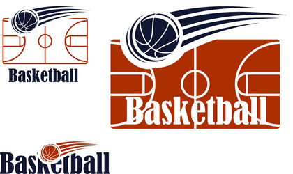 basketball symbol with field and ball vector image