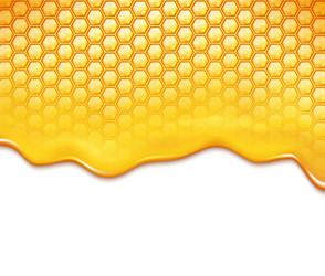 honeycomb and sweet honey drips vector image