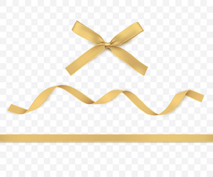 gold ribbon and bow isolated vector image