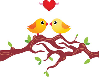 cute birds vector image