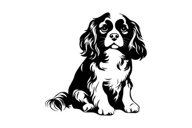 cavalier king charles spaniel dog - isolated vector image