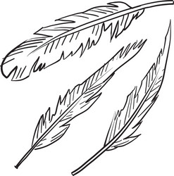 Doodle feathers vector