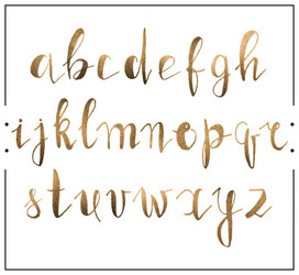 handwritten calligraphic font alphabet written vector image