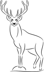 deer silhouette vector image