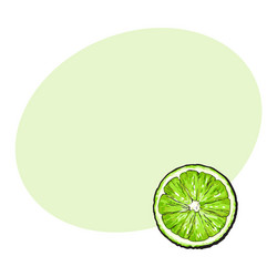 top view round slice half of ripe green lime vector image