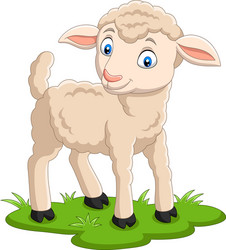 cartoon happy lamb on grass vector image