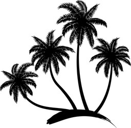 coconut tree vector image