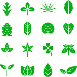 leaf icon nature and environment concept vector image