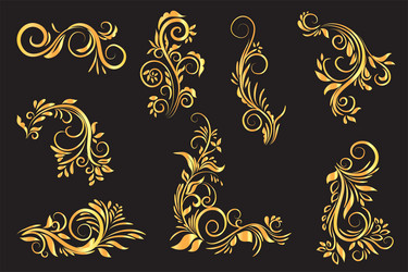 gold and black floral ornament vector image