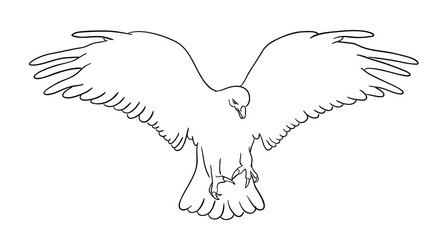 eagle line art 04 vector image