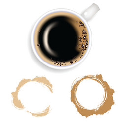 coffee and stain vector image