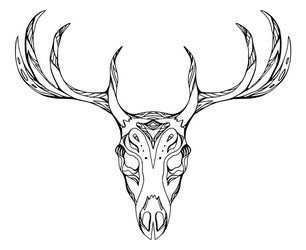 contour a deer skull with antlers boho vector image