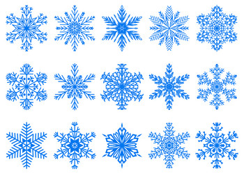 set of christmas snowflakes vector image