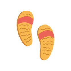 summer footwear beach flip flops vector image