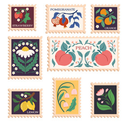 modern stamps with fruits and flowers designs vector image