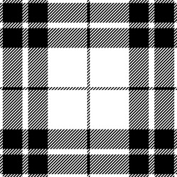 black and white tartan plaid seamless pattern vector image