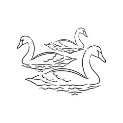 Swan line art drawing vector