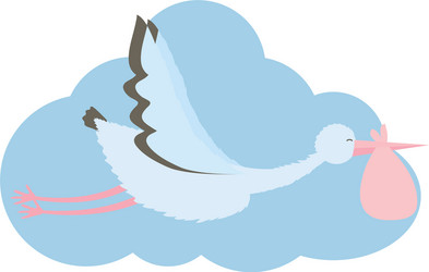 Stork bird flying with bag in cloud vector